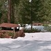 Rusty Trout Photo 10