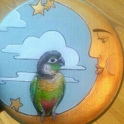 Al Alexander Photo 16