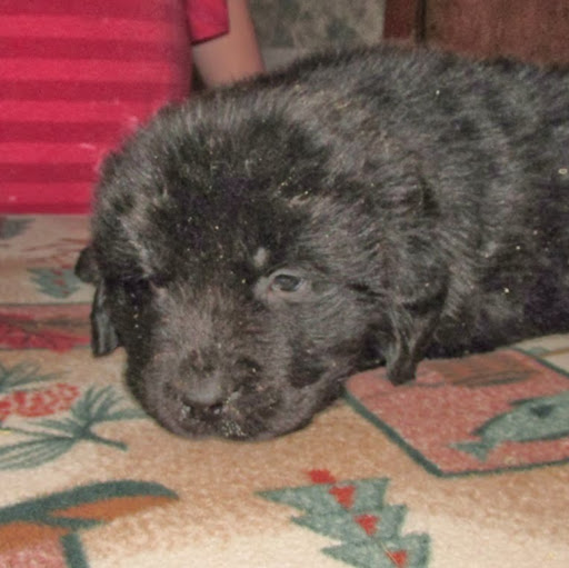 Michele Burke Photo 30