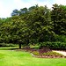 John Callaway Photo 18