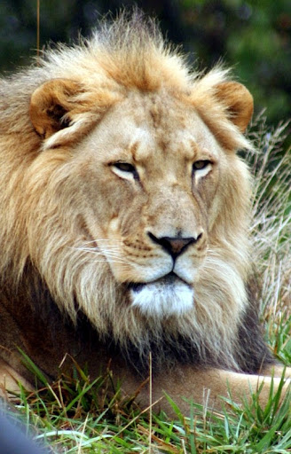 Karl Henderson Photo 28