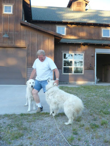 Ronald Henrickson Photo 4