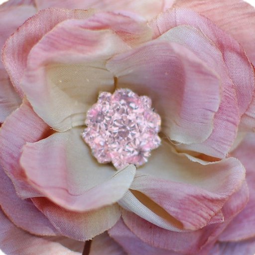 Carole Taylor Photo 26