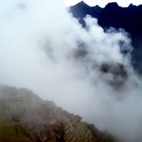 Barney Taylor Photo 14