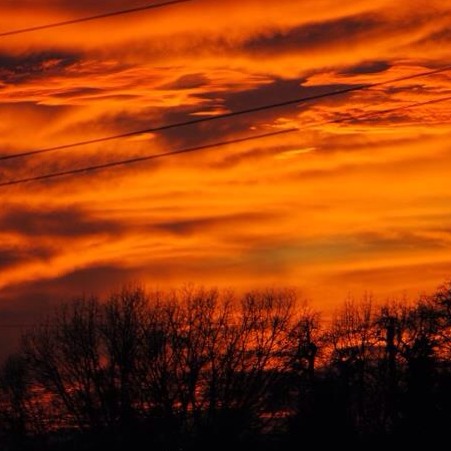 Angela Shepherd Photo 26