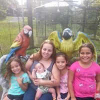 Darlene Torres Photo 9