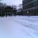Wayne Snow Photo 3