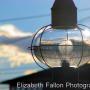 Elizabeth Fallon Photo 23