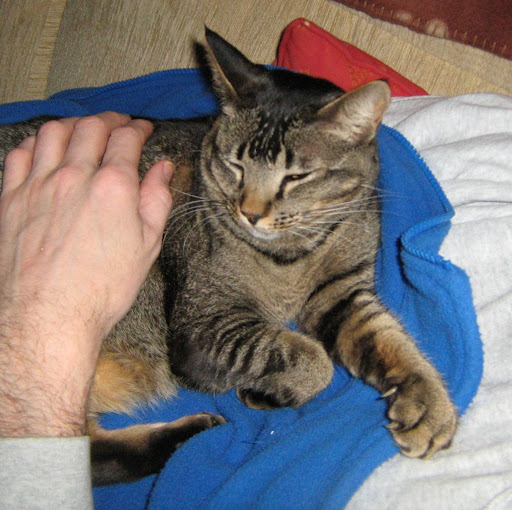 Debbie Grant Photo 20