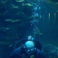 Robert Dougherty Photo 36