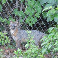 Sue Perdue Photo 7