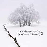 Bethany Simons Photo 5