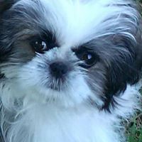 Wanda Sumner Photo 8