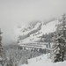 Steven Snow Photo 43