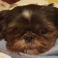 Tammy Bridges Photo 22