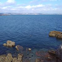 Jill Hutchinson Photo 18