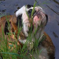 Bonnie Austin Photo 29