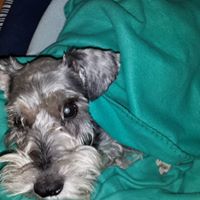 Julia Churchill Photo 7