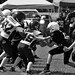 Richard Callahan Photo 17