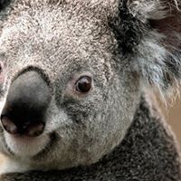 Fred Webber Photo 15