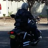 Dave Herman Photo 30 Dave Herman Photo 30