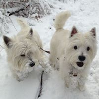 Nancy Yates Photo 45