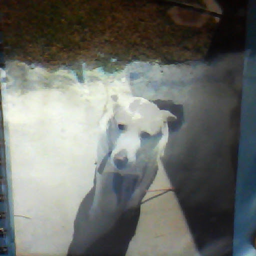 Wendy Hunter Photo 14