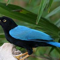 Josie Vargas Photo 26