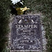 David Stamper Photo 21