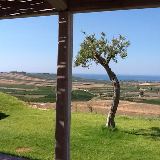 Michael Macaluso Photo 11