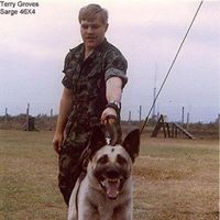 Terry Groves Photo 20