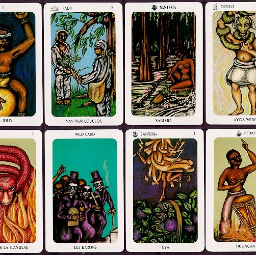 Sean Reardon Photo 17