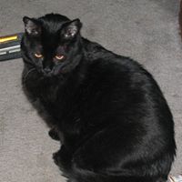 Sharon Bushman Photo 8