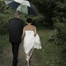 Sherry Nolan Photo 23