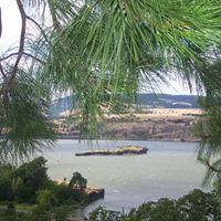 Shari Mcguire Photo 16