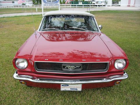 Randy Goodman Photo 13