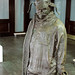 John Toole Photo 26