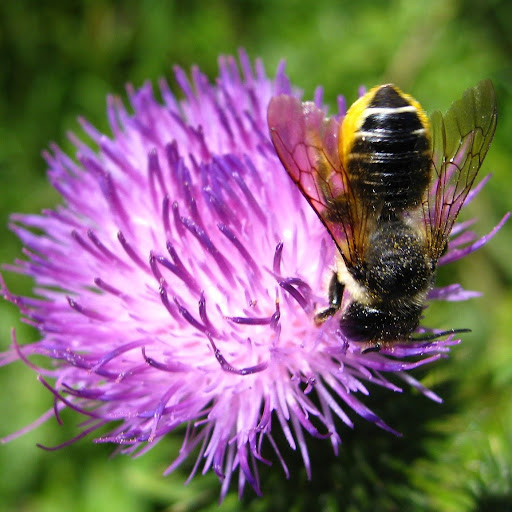 Tracy Parish Photo 4