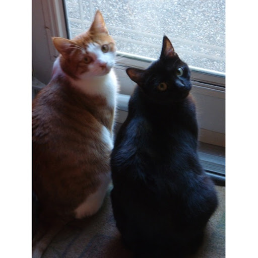 Susan Richman Photo 16