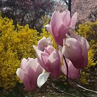 Karen Conaway Photo 10