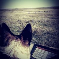 Sarah Rohde Photo 17