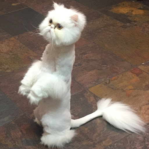 Richard Gatewood Photo 19