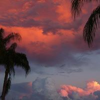 Barbara Sommers Photo 14