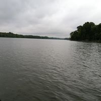 David Markham Photo 10 David Markham Photo 10