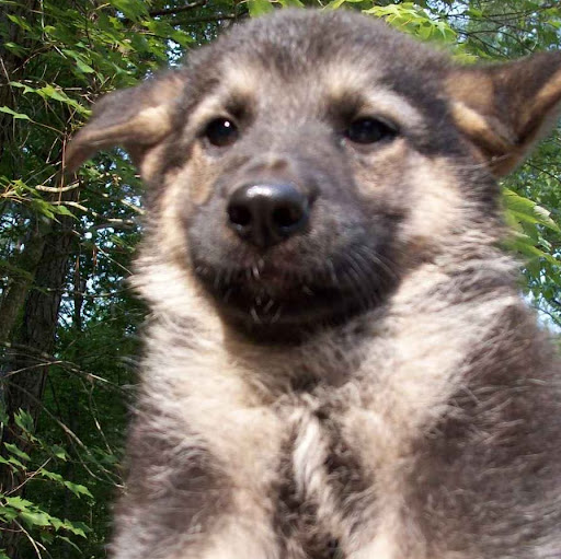 Suzanne Bradley Photo 35