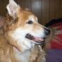 Tracie Clark Photo 26