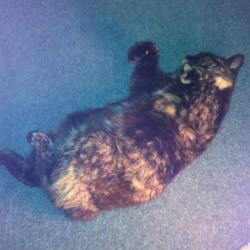 Bill Summers Photo 35