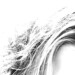 Jessica Farlow Photo 12