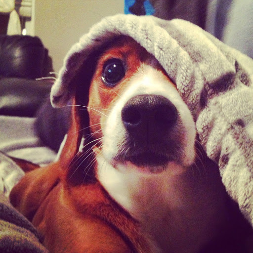 Shirley Zhang Photo 23