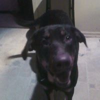 Terry Beyer Photo 26